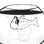 The Night Side of The Moog