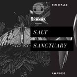 Artwork voor "Salt Sanctuary"