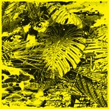 Artwork for "WAR2101"