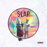Artwork für "Slap"