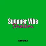 Artwork für "Summer Vibe"