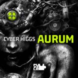 Artwork for "Aurum"