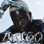 Artwork für "Akito"