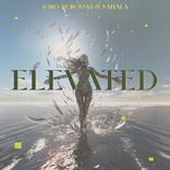 Artwork for "Elevated"