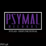 Artwork für "Disfunktional"