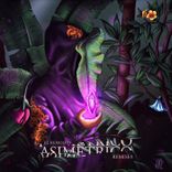 Artwork für "Asimetrico Remixes"