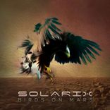 Artwork voor "Birds On Mars"
