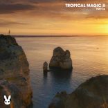 Artwork für "Tropical Magic II"