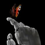 Artwork for "Calibrating Machines"