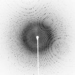 Artwork for "Manipulator"