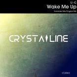 Wake Me Up