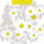 Artwork for "Camomile (Satl Remix)"