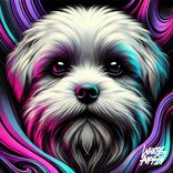 Artwork für "Over My Head"