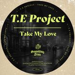 Artwork voor "Take My Love"