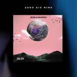 Artwork für "Dilek (Extended Mix)"