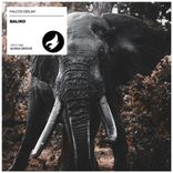 Artwork for "Baliko"