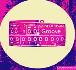 Artwork voor "Spirit Of House Groove"