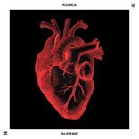 Portada para "Sundere"