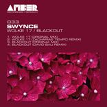 Blackout (David Bau Remix)