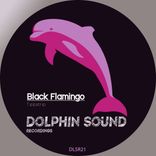 Portada para "Black Flamingo"