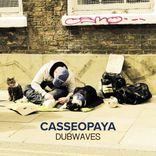 Artwork voor "Dubwaves"