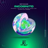 Portada para "Incognito"