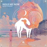 Artwork voor "Hold Me Now"