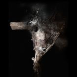 Artwork for "Cellardoor EP"