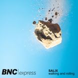 Artwork for "Walking and Rolling"