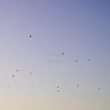 Artwork for "LUH Remixes"