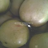 Artwork for "Thunder"