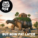 Artwork for "Buy Now Pay Later"