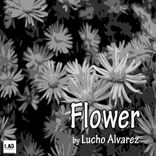 Artwork for "Flower"