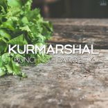 Traffic Jams and Construction