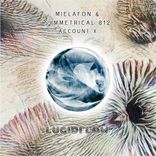 Portada para "Account X"