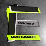 Artwork for "Family Damages"