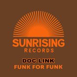 Funk For Funk (Original Mix)