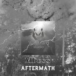Artwork voor "Aftermath"