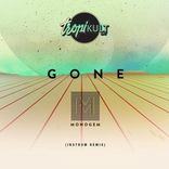 Artwork for "Gone (INSTRUM Remix)"