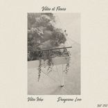 Artwork for "Dangerous Love"