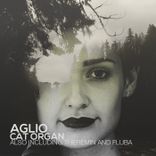 Artwork voor "Cat Organ"