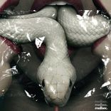 Artwork for "Şakşak"