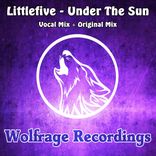 Artwork voor "Under The Sun"