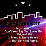 Artwork voor "Don't You Say You Love Me"