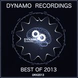 Artwork für "Best of Dynamo 2013"