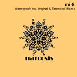 Artwork for "Waterproof"