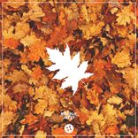 Portada para "Jazzy"