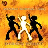 Artwork for "Disco What"