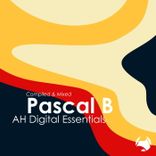 Artwork voor "AH Digital Essentials 003 / Pascal B"
