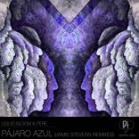 Artwork for "Pájaro Azul (Jamie Stevens Remixes)"